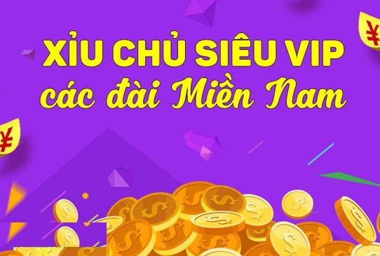 cầu xíu chủ xsmn siêu vip