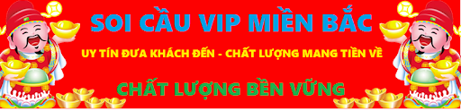 cầu dàn lô 8 con xsmb siêu vip