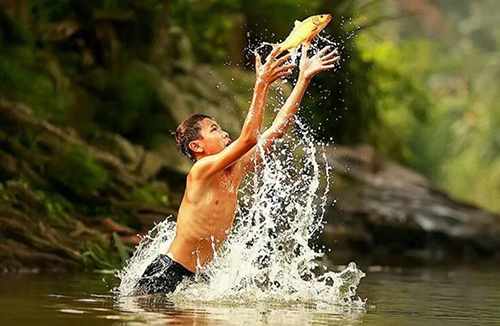 Giai ma giac mo bao hieu tinh yeu sap den hinh anh 2