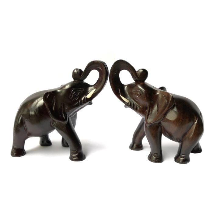 mo-thay-voi-danh-con-gi-3-1 Giấc mơ thấy voi màu đen