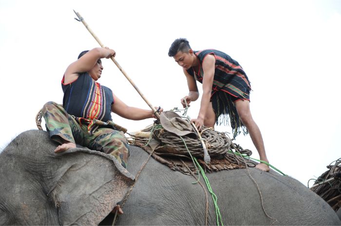 mo-thay-voi-danh-con-gi-4-1 Nằm mơ thấy bạn đi bắt voi